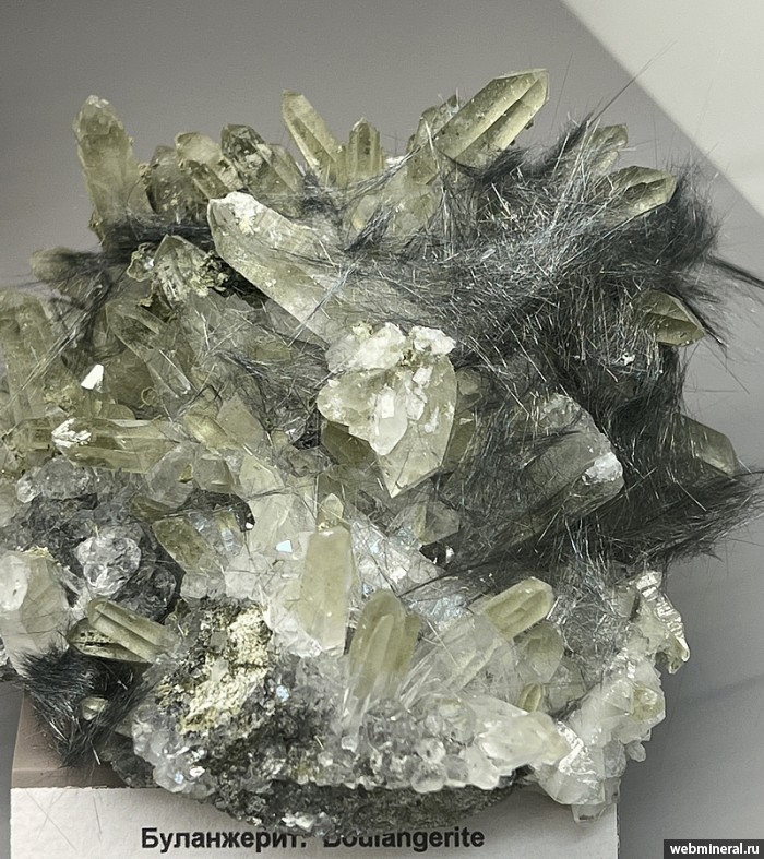 ���������� �������� ����������, �����. ������������ ������.