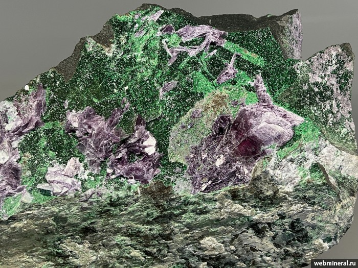 ���������� �������� �������, ��������. ������� ����������� (Cr) �������������.