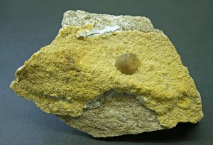 .  .   . webmineral.ru