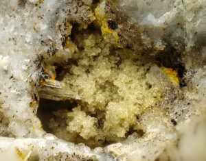 ����������. ������������ ��������. �������� � �������������. webmineral.ru