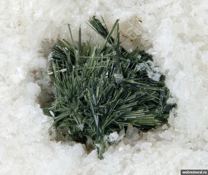 ���������� �������� ������. �������� � 24 (����������).