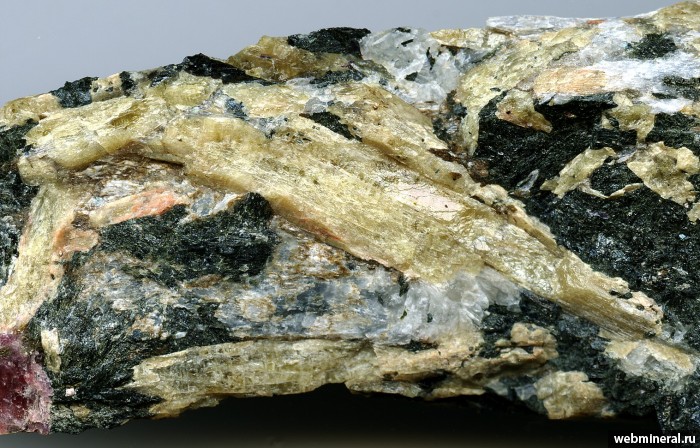   -(Y), , . Kipawa alkaline complex, Temiscamingue, Quebec.