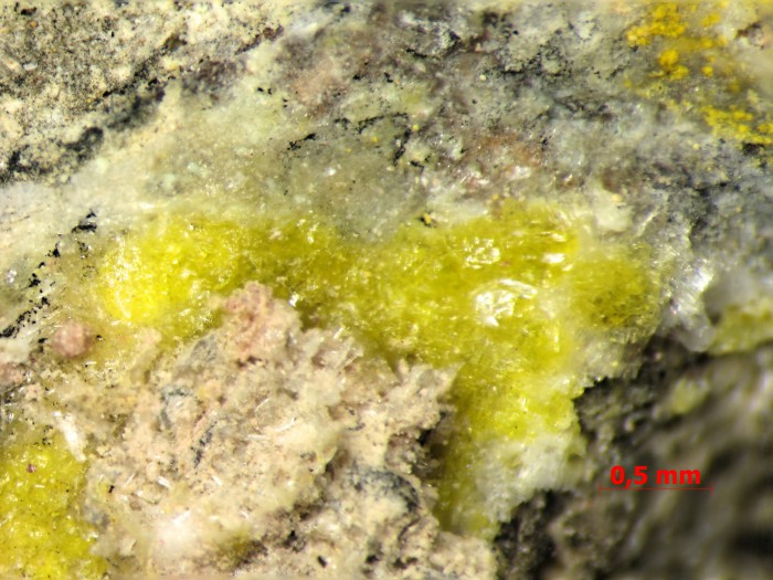   . Geschieber vein, 5th level of Svornost Mine, Jachymov, Bohemia.