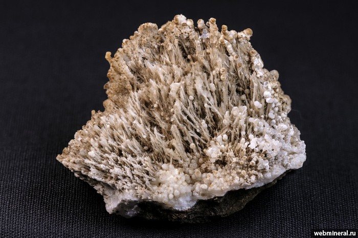 ���������� �������� ��������, �������. ������� �������������.