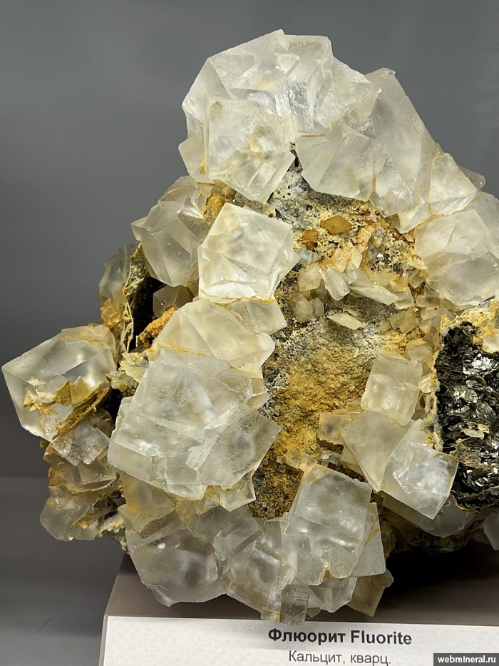 ���������� �������� �������, �������, �����. ������������ ������.