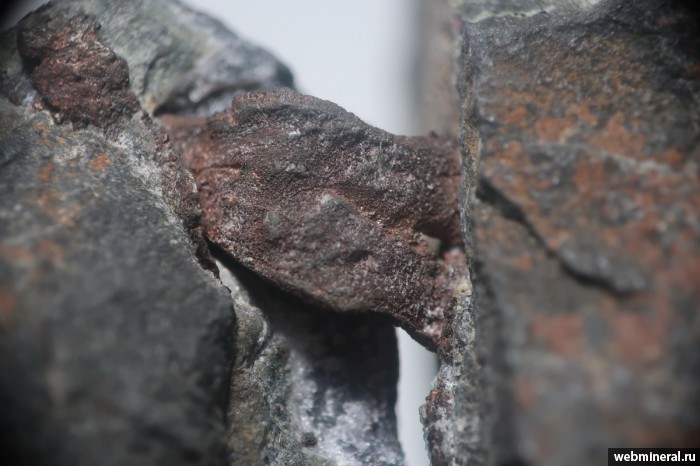 ���������� �������� ����. ����������� ������.