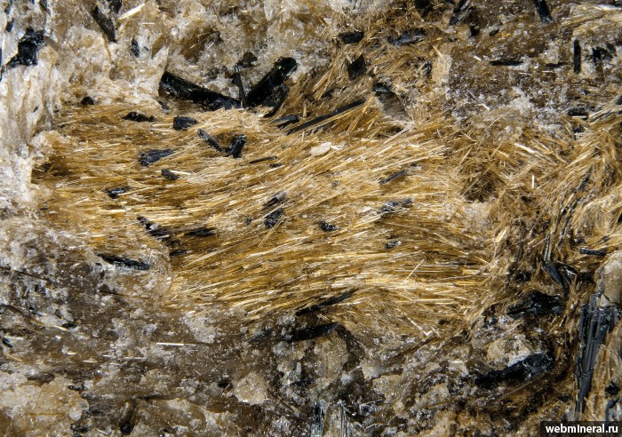 ���������� �������� �����������, ��������. ���� � 50.