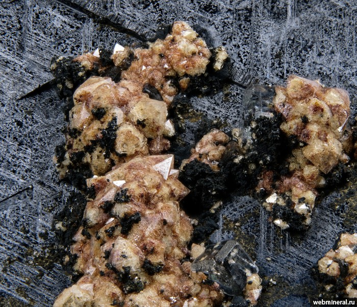 ���������� �������� ��������, �������, �������. 2-� ��������� ������.