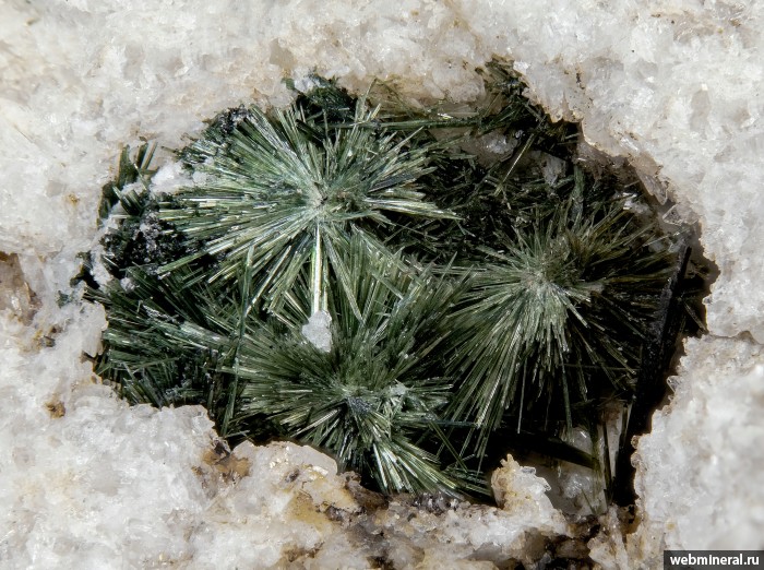 ���������� �������� ������, ������. �������� � 24 (����������).