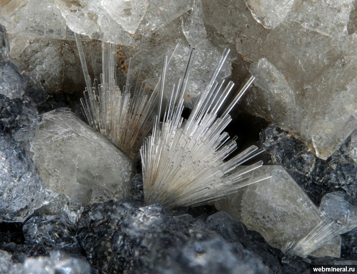 ���������� �������� ��������, �������-Ca. ������ ������.