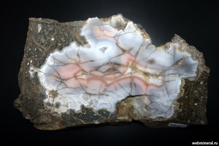 ���������� �������� ����� ����. (����). ������� ����.