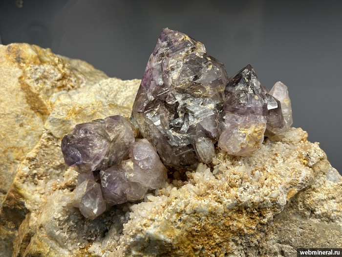 ���������� �������� ����� ����. (�������), �����. ��������� ���� ����������.