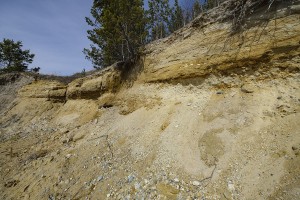 ����������� ������������� (������)