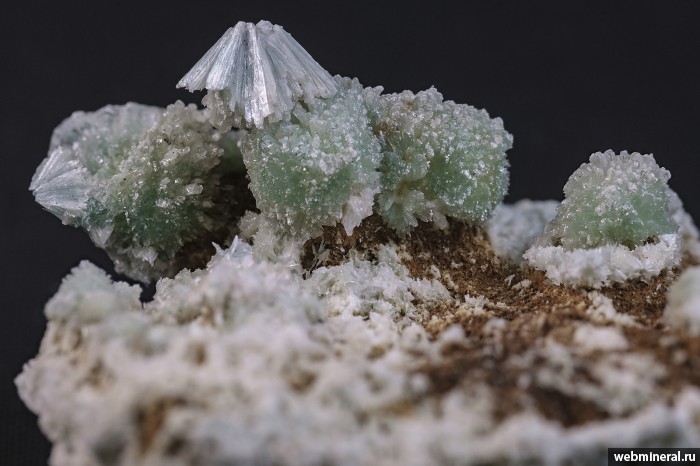 ���������� �������� ����������, �������. ���������� (Au) ������������� (������ ����).