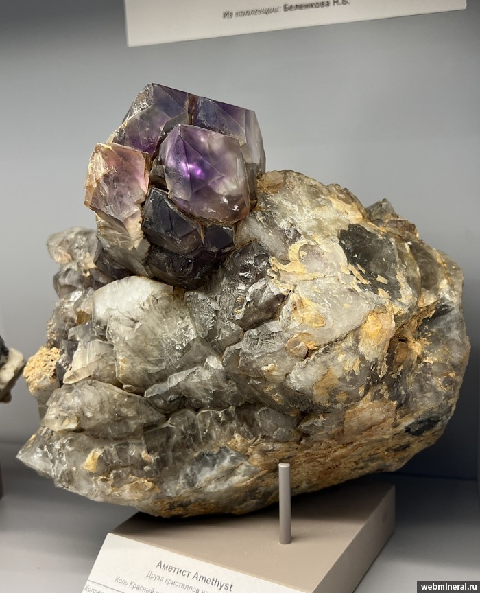 ���������� �������� ����� ����. (�������). ���� ������� ��������.