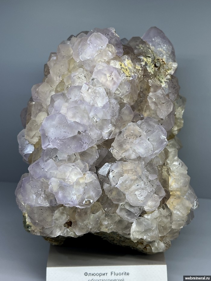 ���������� �������� �������. ������������ ������.