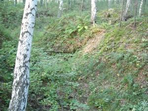      .133.  .   . webmineral.ru