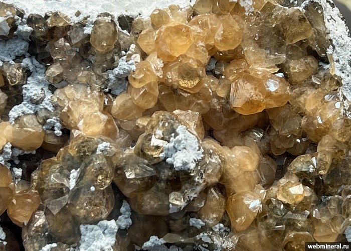 ���������� �������� ���������. ����������� �������������.