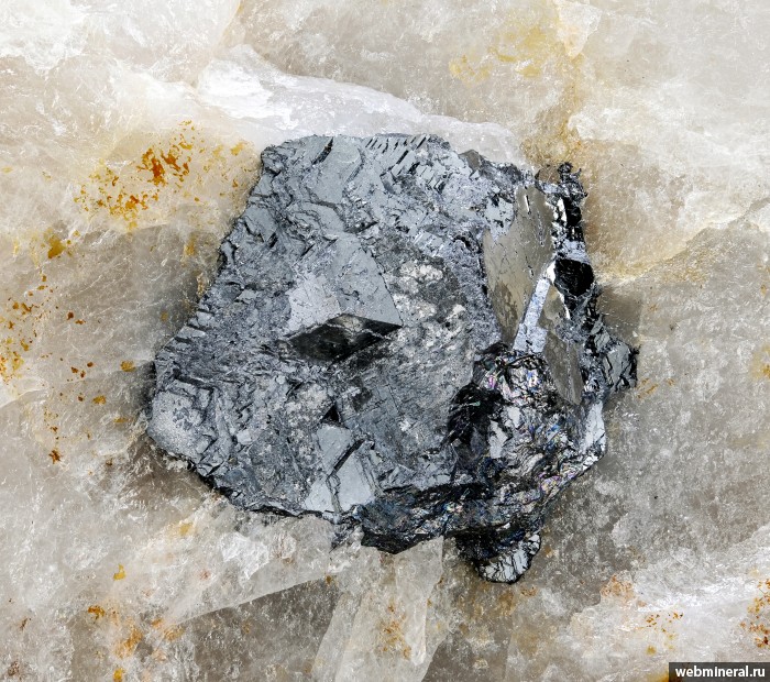 ���������� �������� �������. �������� (W) �������������.