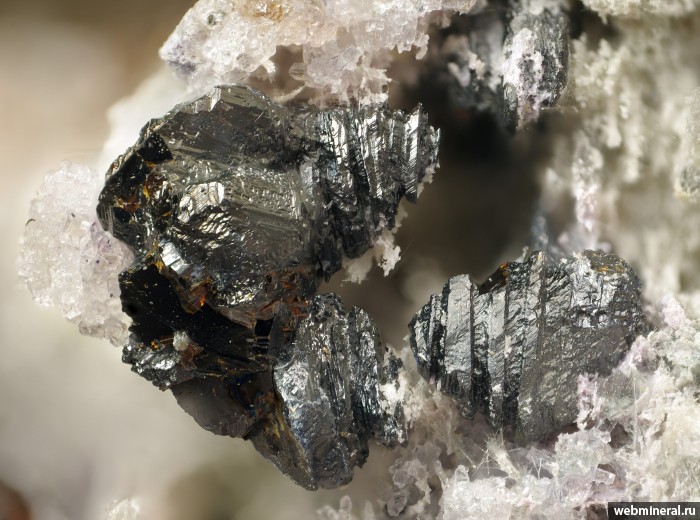 ���������� �������� ��������. ����������� �����.