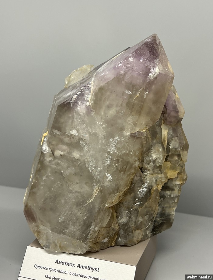 ���������� �������� ����� ����. (�������). �������� �������������.