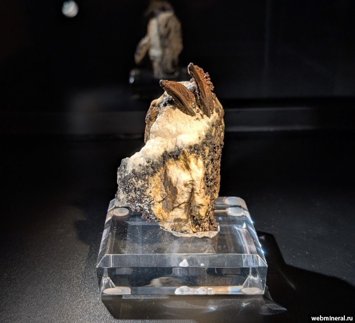 ���������� �������� ����, �������. ���������� �������.