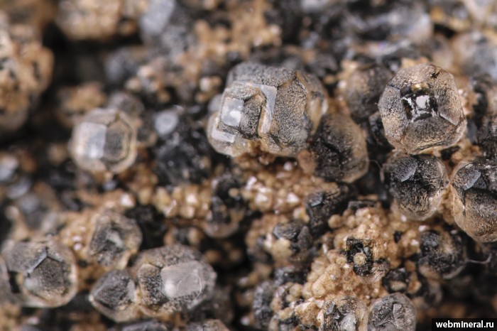 ���������� �������� ����������, �������, �����, ��������. 2-� ��������� ������.