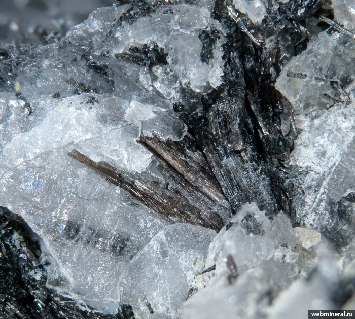 ���������� �������� ������. �������� �������.