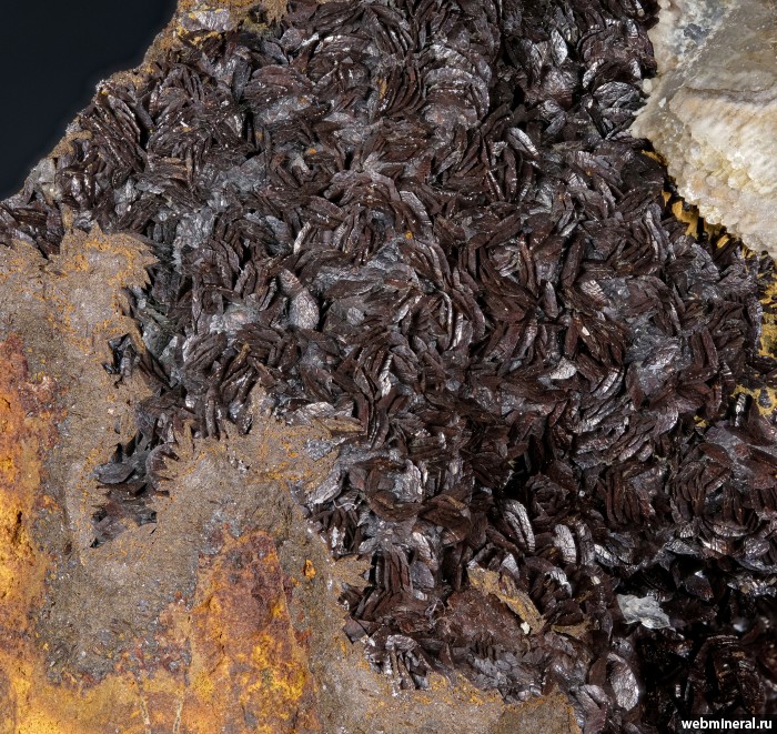 ���������� �������� �������, �������. �������� �����-2.