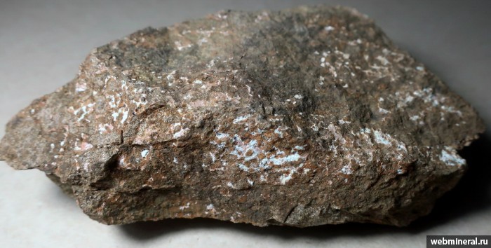 ���������� �������� �������. ���������� ����.