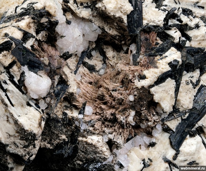 ���������� �������� ��������, ������, ������. ���� � 50.