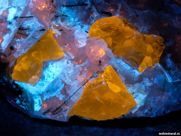 ���������� �������� ��������. ��� ��������.