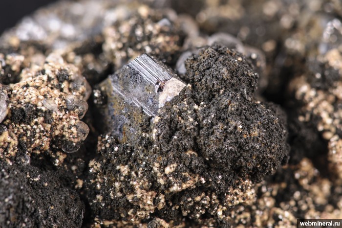 ���������� �������� ����������, �������, �����, ��������. 2-� ��������� ������.