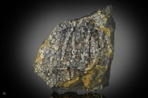 .  .   . webmineral.ru