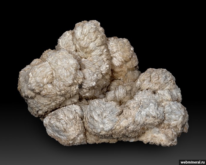 ���������� �������� �����. ������ ����������.