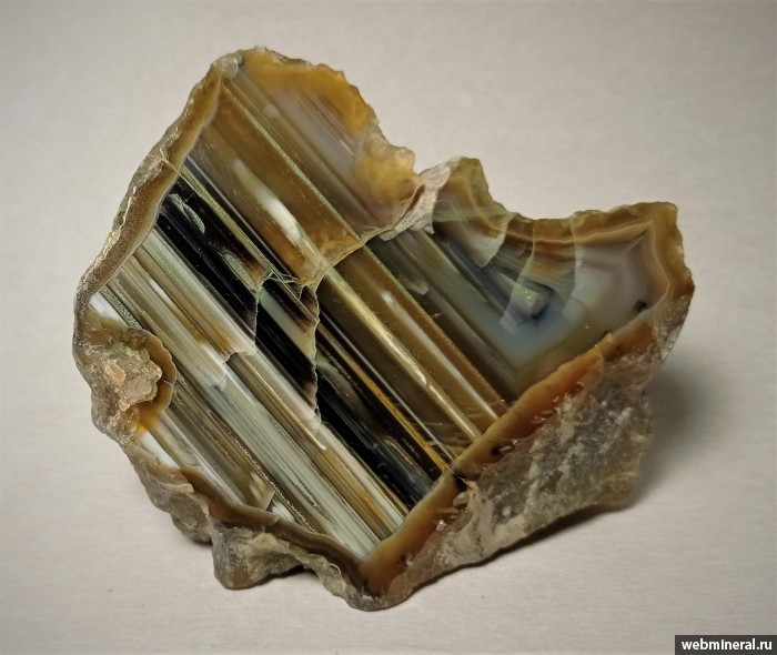 ���������� �������� ����� ����. (����). ������ �������������.