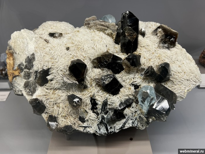 ���������� �������� �����, �����, ������, ��������, ����. ��������� ����.