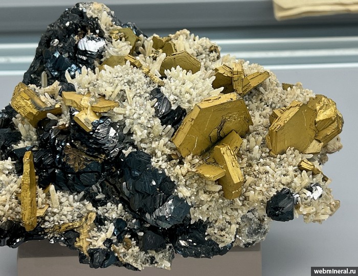 ���������� �������� ��������, ��������, �����. ������������ ������.