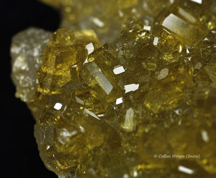 ���������� �������� �����, �������. Dean, Jiangxi, China (�����).