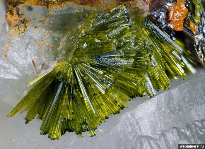 ���������� �������� ����������. ������� ����.