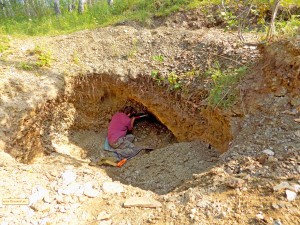 ������� ��� �������������