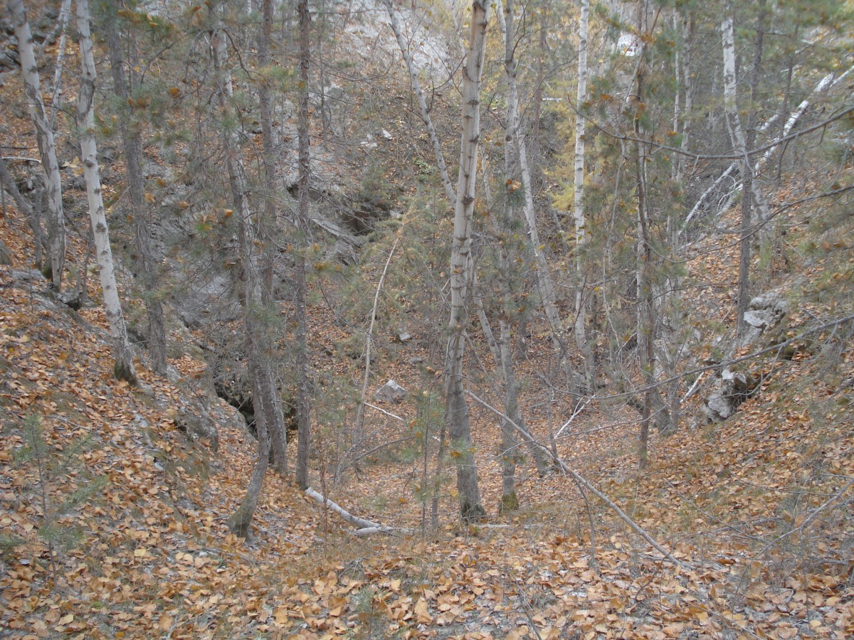  36.   . webmineral.ru