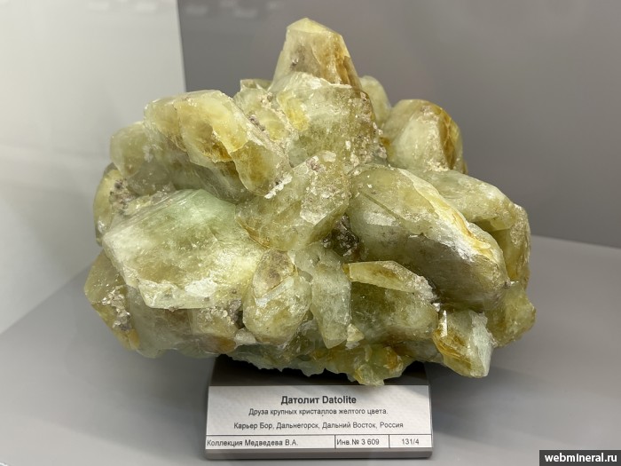 ���������� �������� �������. ��� ������.