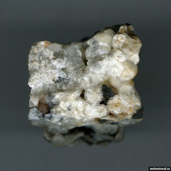 Фотография минерала Виллемит. Сары-Гиматейское (Pb-Zn) месторождение.