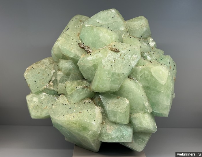 ���������� �������� �������. ��� ������.