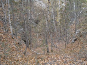  36.   36.   . webmineral.ru
