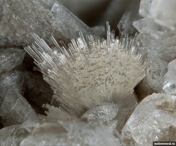 ���������� �������� ��������, �������-Ca. ������ ������.