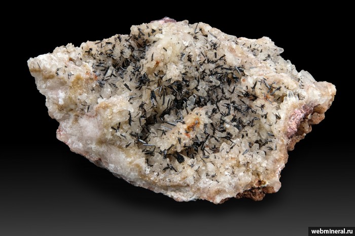 ���������� �������� ø���. ���������� ������ �������������.