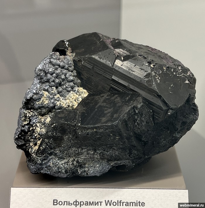 ���������� �������� ����������, ����������. ������� (W-Mo) �������������.