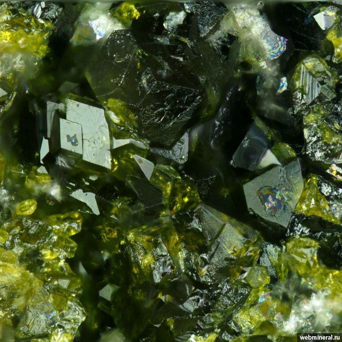   , , , . Valgraveglia Mine (Gambatesa Mine), Monte Copello, Reppia, Ne, Genoa, Liguria.